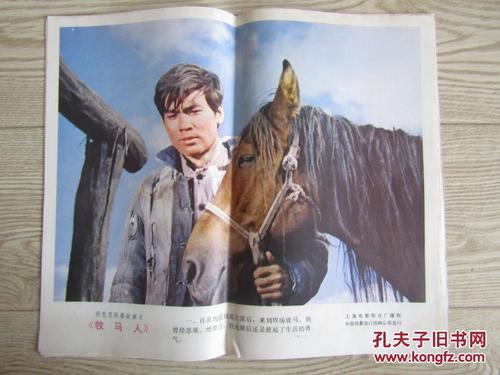 catti注册学历证书编号不一致